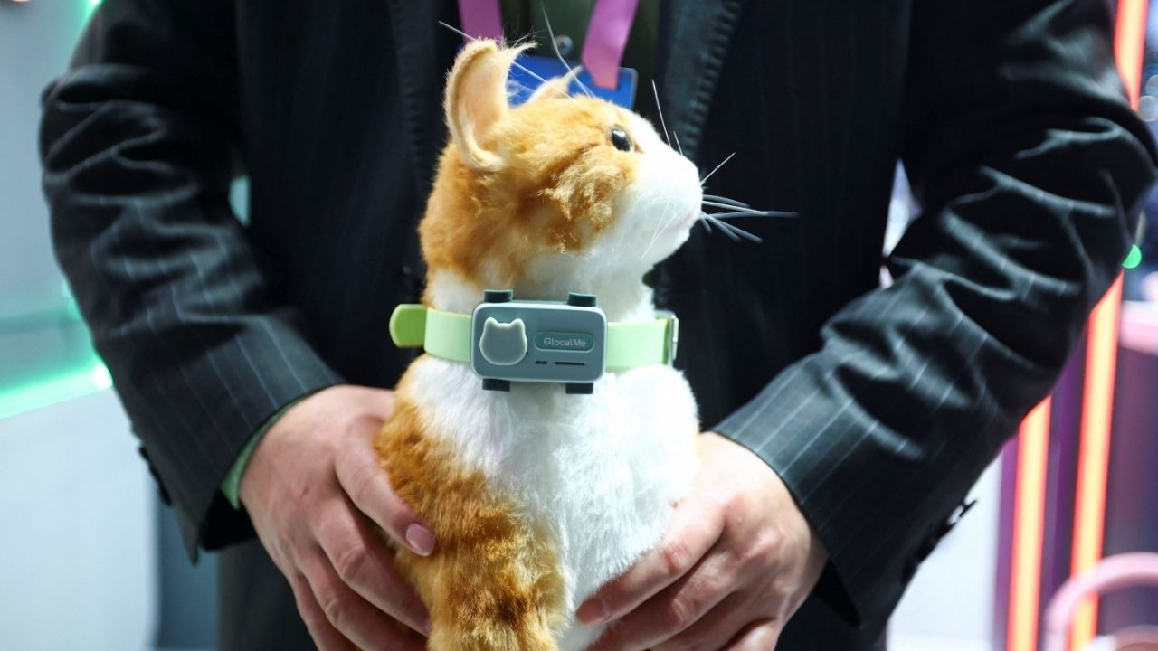 PetPhone İle Evcil Hayvanlar Sahiplerine Ulaşıyor!